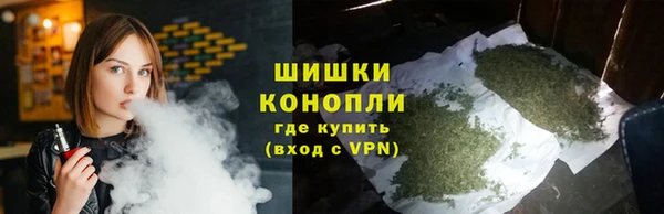 Альфа ПВП Богородск