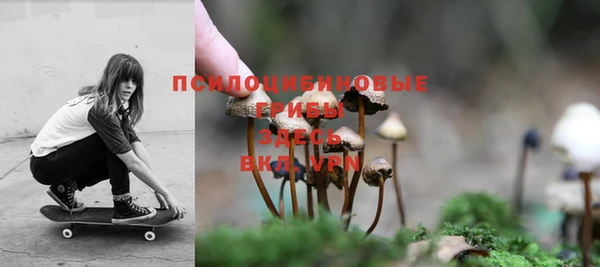 скорость Богородицк