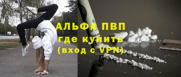 Альфа ПВП Богородск