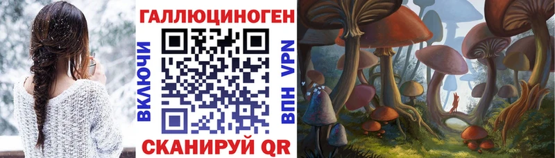 Псилоцибиновые грибы GOLDEN TEACHER  Волчанск 